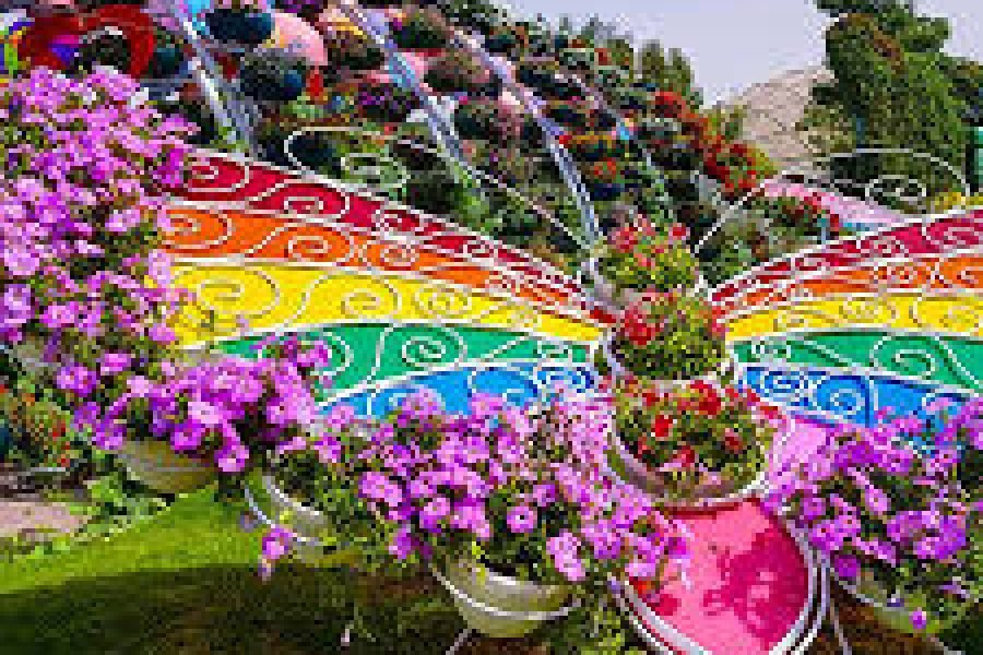 Butterfly Garden Dubai