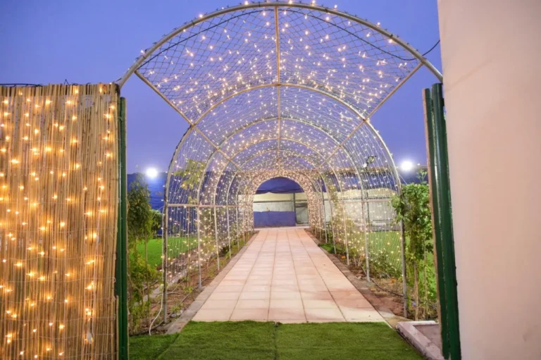 Al Khatim Farm - photo 6