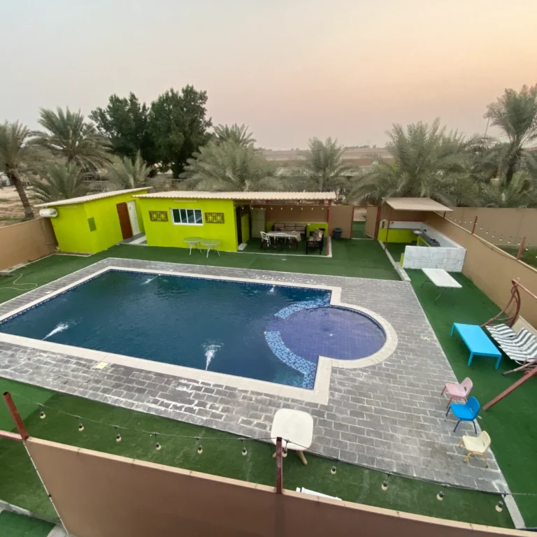 Swimming Pool Area - photo 3