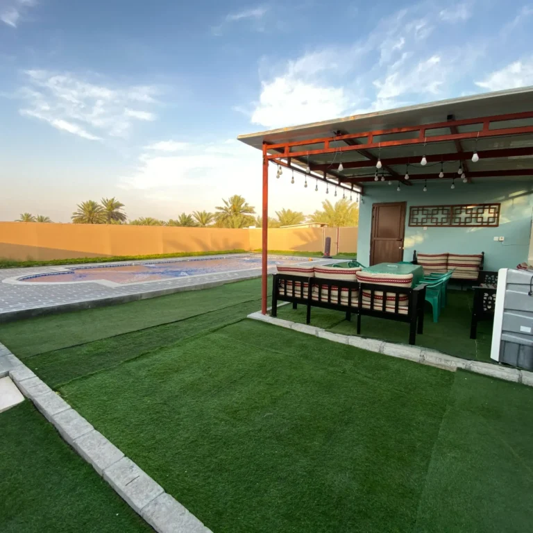 Swimming Pool Area - photo 5