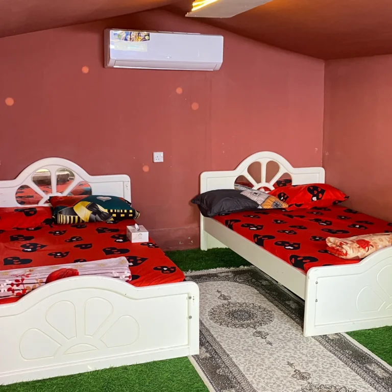 Al Rahba Holiday Farmhouse One - photo 29