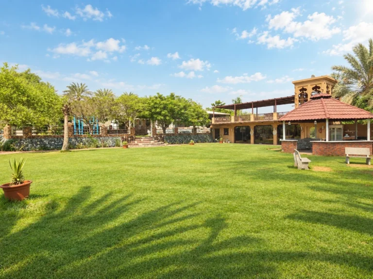 Rak Farmhouse palm - photo 2