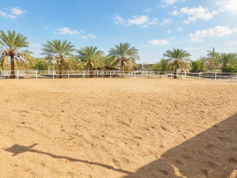 Rak Farmhouse palm - photo 11