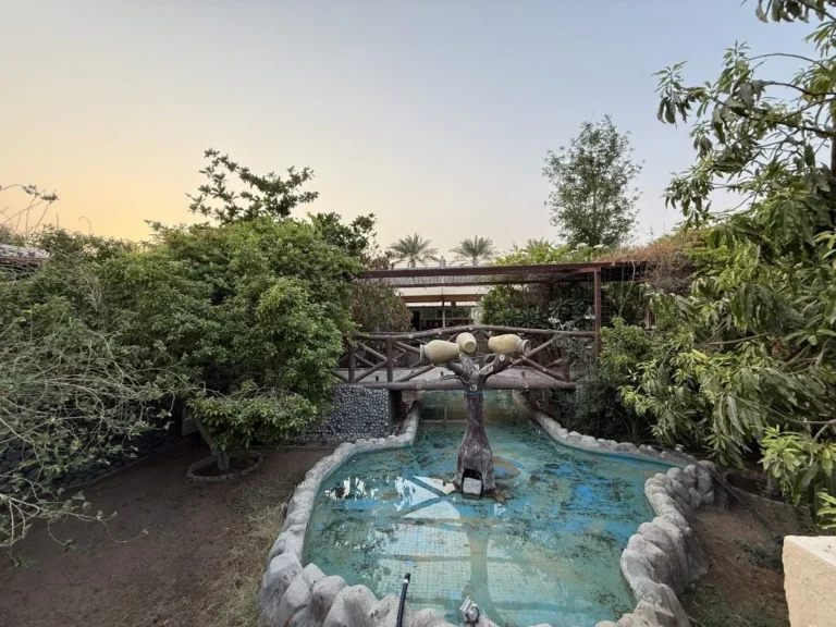 Rak Farmhouse palm - photo 10