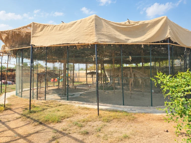 RAK Orchard Retreat Farmhouse - photo 19